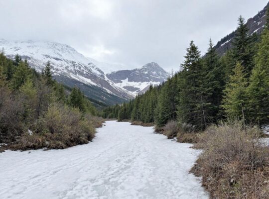 découvrez les erreurs fréquentes à éviter pour maîtriser l'espagnol professionnel efficacement et booster votre carrière internationale.