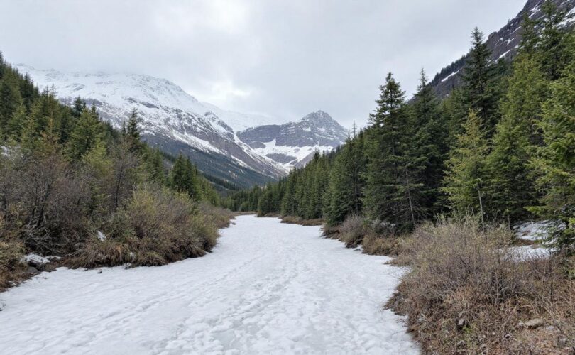 découvrez les erreurs fréquentes à éviter pour maîtriser l'espagnol professionnel efficacement et booster votre carrière internationale.